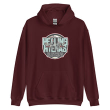 Load image into Gallery viewer, Healing Hyenas Clothing Japanese Art Hoodie