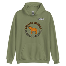 Load image into Gallery viewer, Hyena In Healing Hoodie