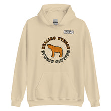 Load image into Gallery viewer, Hyena In Healing Hoodie